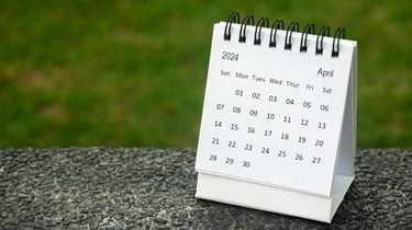 Tax Basis Period – Getting ready for the end of the transitional year